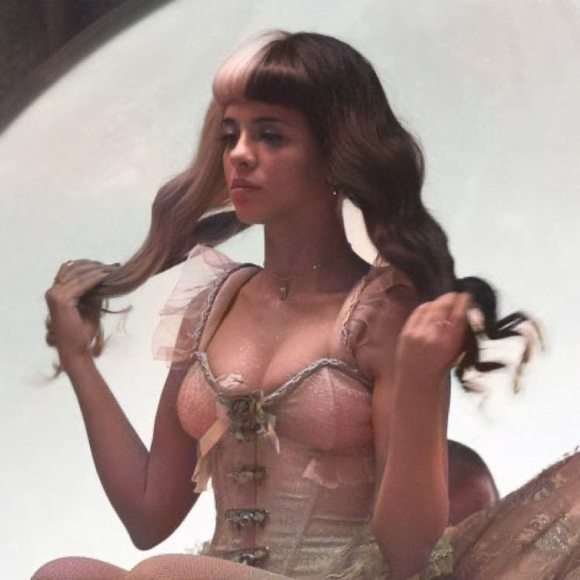 Meet your Posher, Riley - Picture 1 of 1